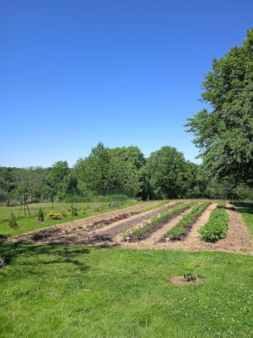 Les Jardins Des 3 Provinces- Gite Montcharvot ภายนอก รูปภาพ