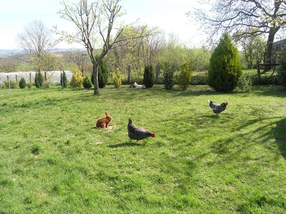Les Jardins Des 3 Provinces- Gite Montcharvot ภายนอก รูปภาพ