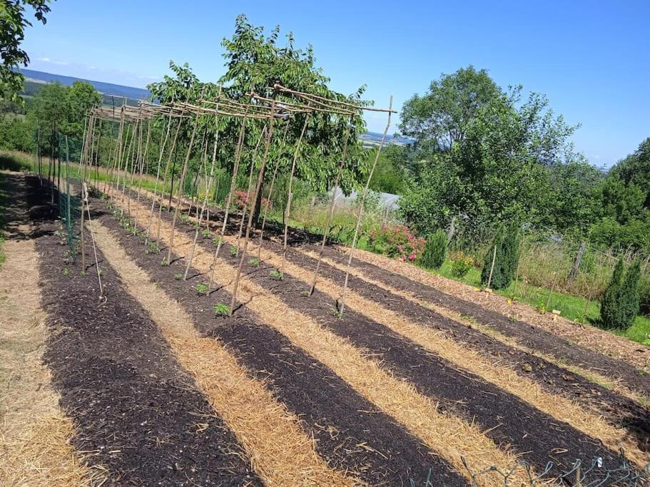 Les Jardins Des 3 Provinces- Gite Montcharvot ภายนอก รูปภาพ