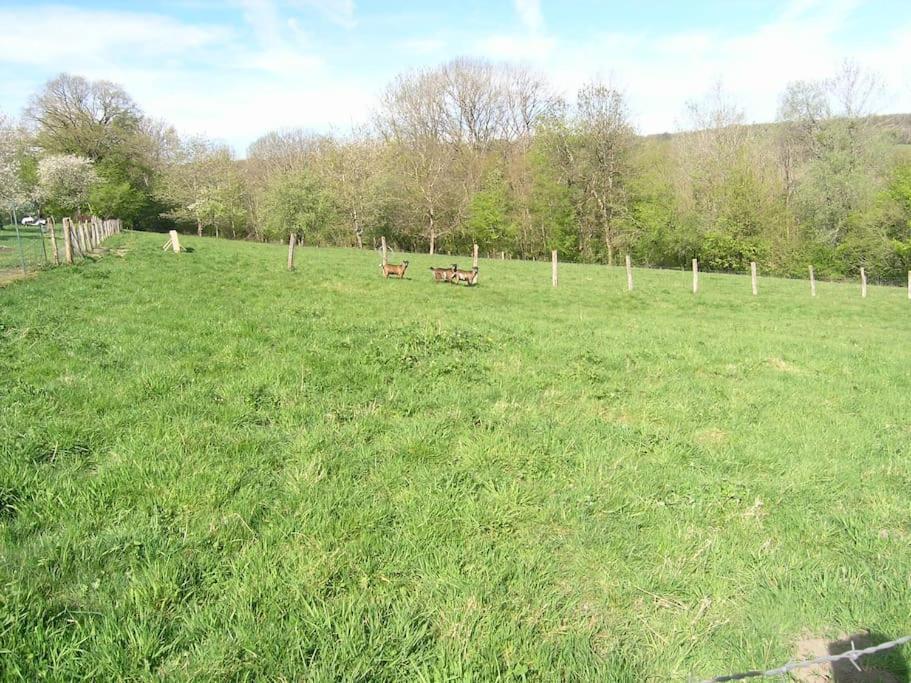 Les Jardins Des 3 Provinces- Gite Montcharvot ภายนอก รูปภาพ